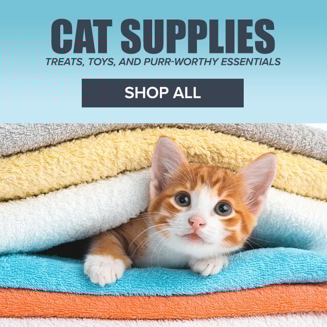 Cat Supplies